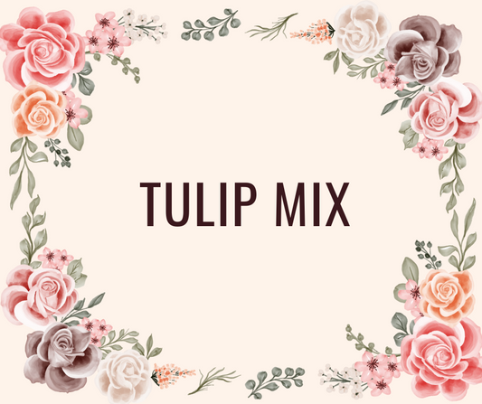 Mother's Day Tulip Mix