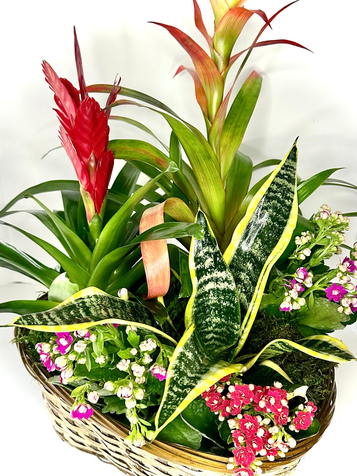 Mixed Plant Basket