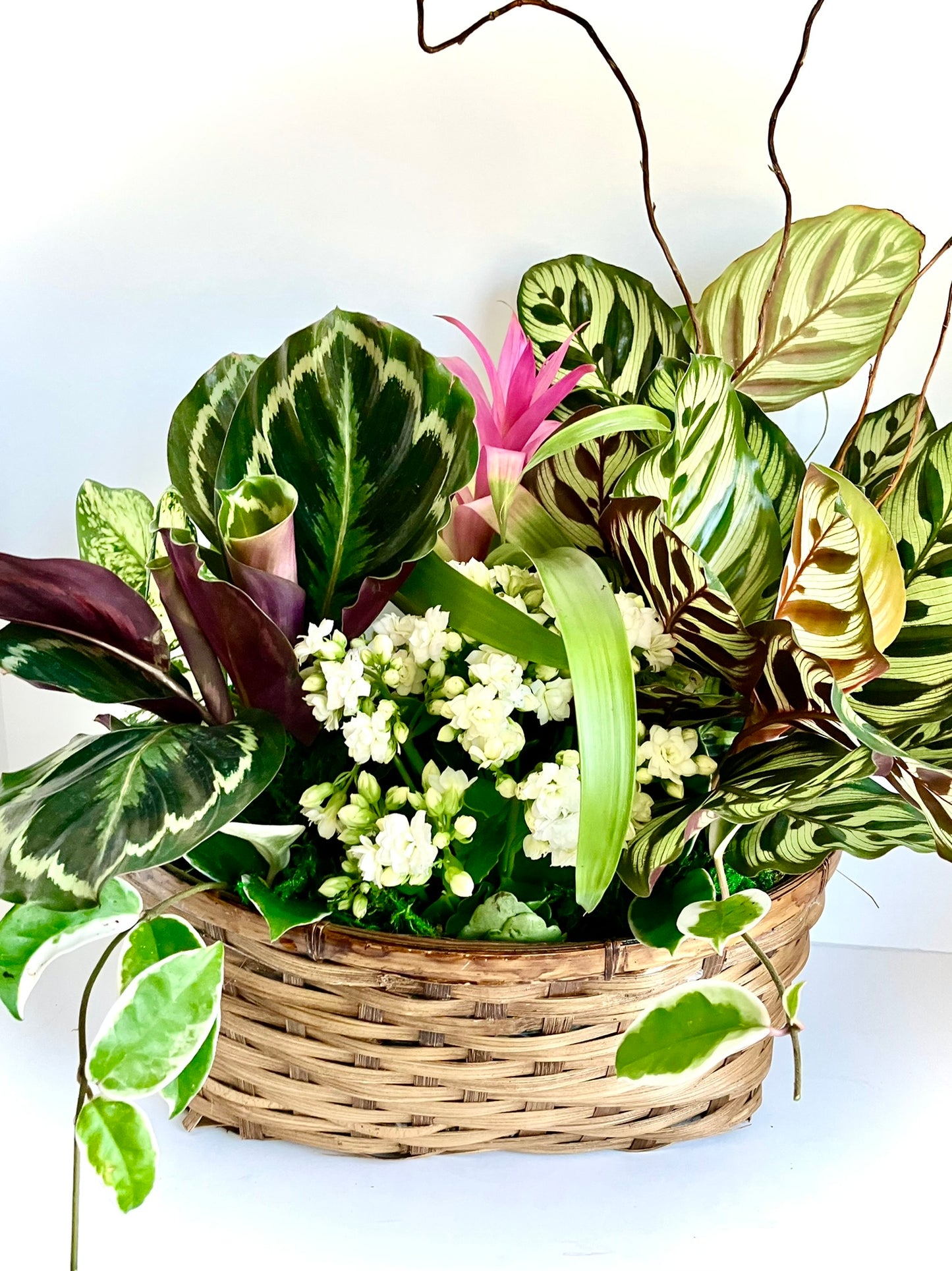 Mixed Plant Basket